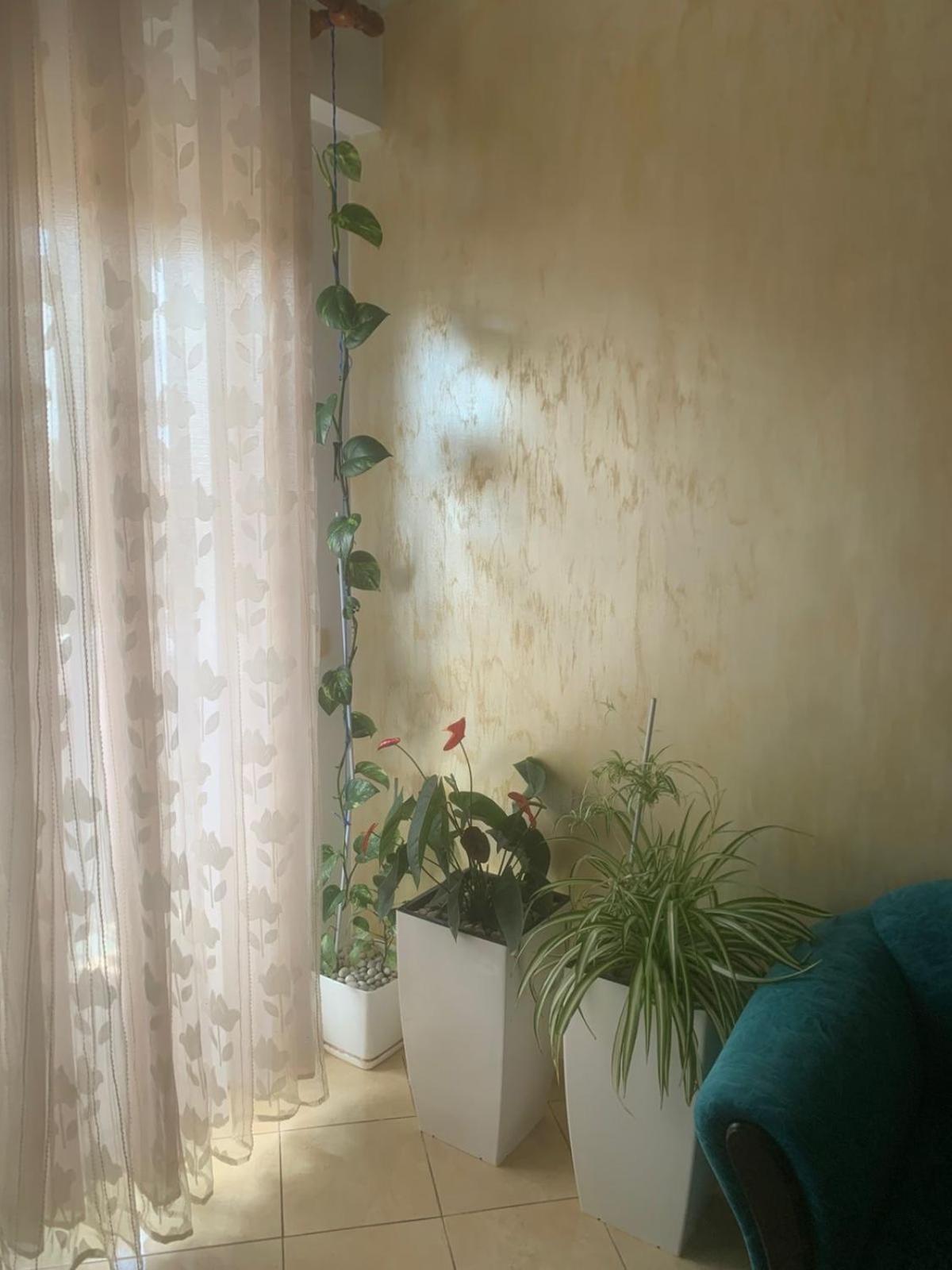Guest House フィエル エクステリア 写真